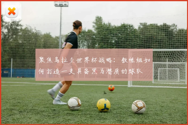 聚焦乌拉圭世界杯战略：教练组如何打造一支具备黑马潜质的球队