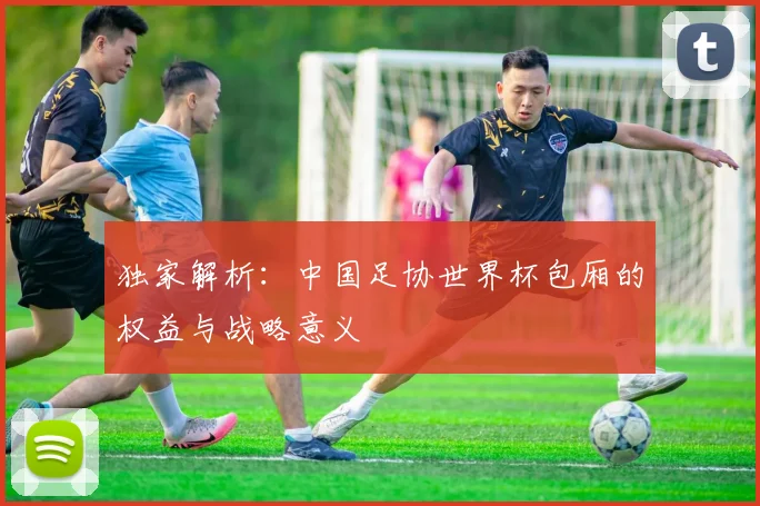 独家解析：中国足协世界杯包厢的权益与战略意义